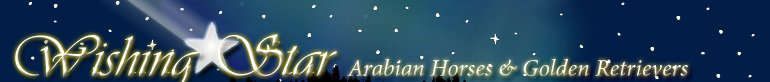 Wishing Star